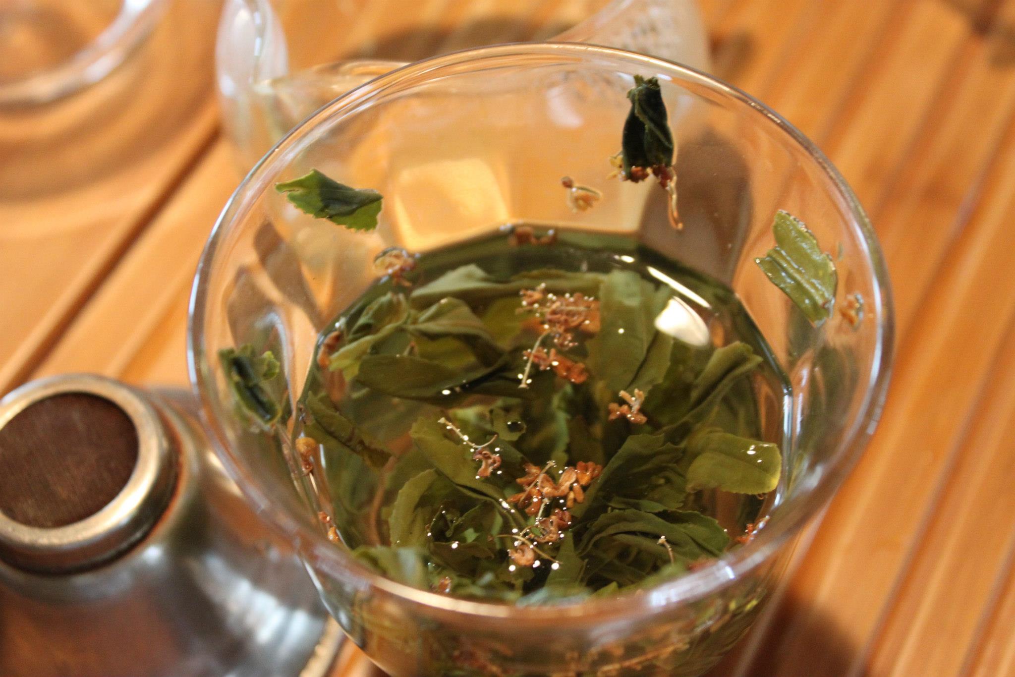 1028お茶
