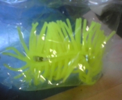 080402_210348.jpg
