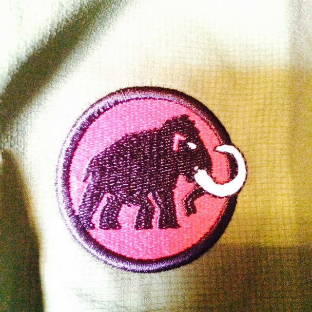 Evernote-Camera-Roll-20150131-092513 2.jpg