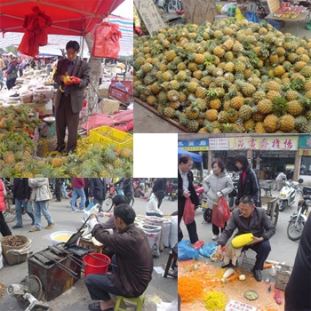 markt