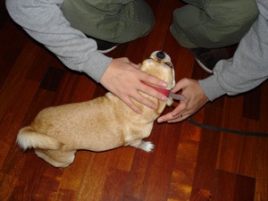 sanpo
