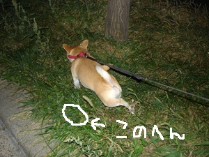 xixi07
