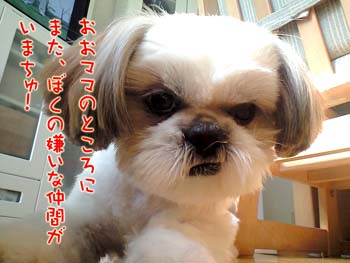 ガクの嫌いな仲間