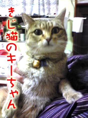 キーちゃん