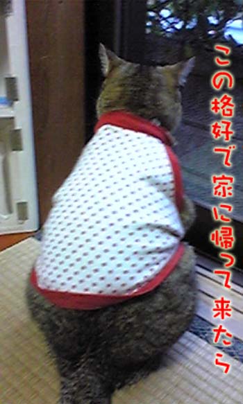 キーちゃん