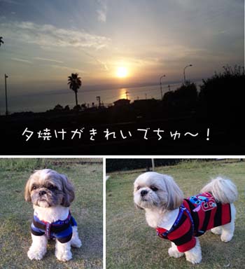 大村湾PA