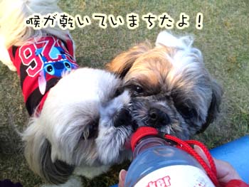 大村湾PA