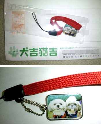 犬吉猫吉