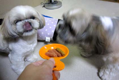 贈り物