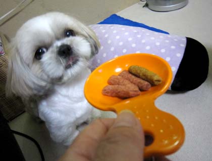贈り物