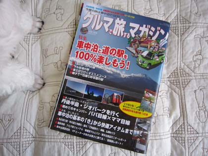 ワンコと車中泊