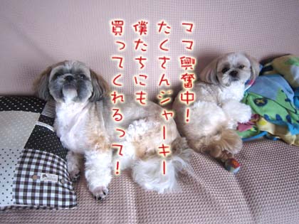 ナンバーズ3