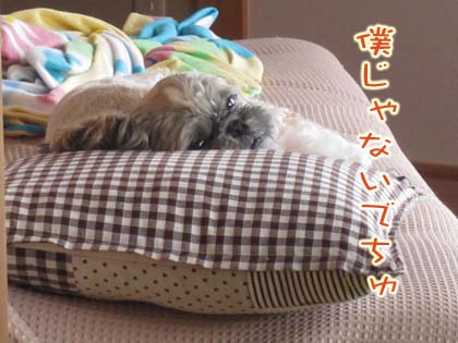 リラックマの犯人