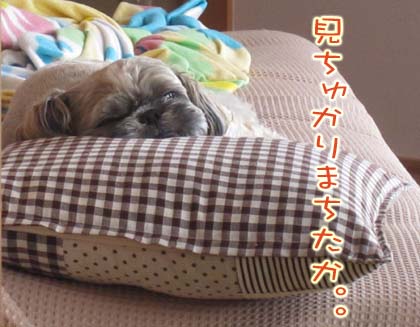 リラックマの犯人