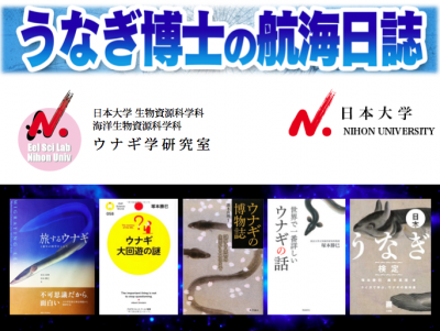 バナー