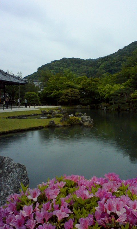 天竜寺庭園