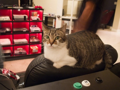 アメリカ人のゲーム部屋が凄すぎると話題 アメリカ人のゲーム部屋が凄すぎると話題