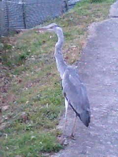 20070413_219358.jpg