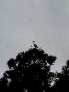 20070415_220842.jpg