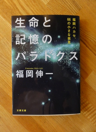 生命と記憶のパラドックス
