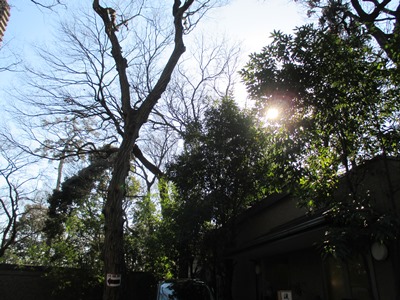 深大寺1