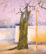collection_10.jpg