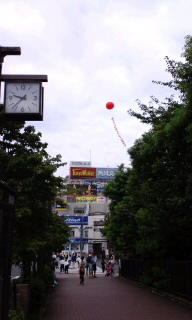 090825_0941~010001.jpg