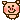 peti_e016911.gif