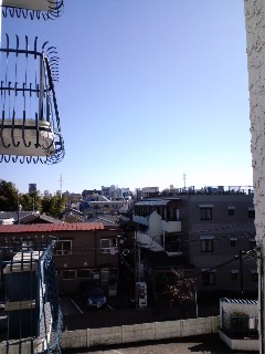 091115_1044~01.jpg