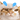 201691.gif