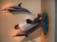 FLYING