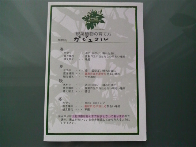tree2