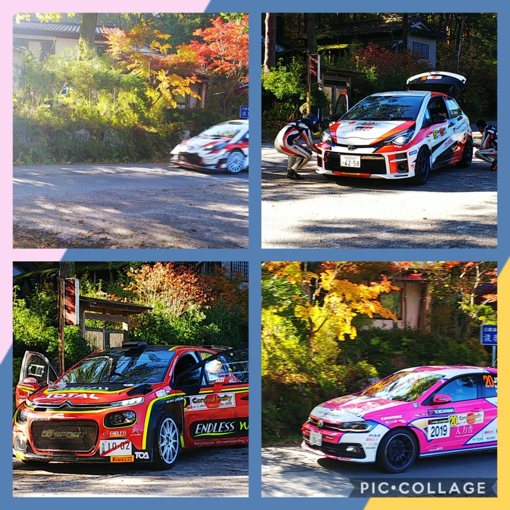 Collage 2019-11-1010_27_21.jpg