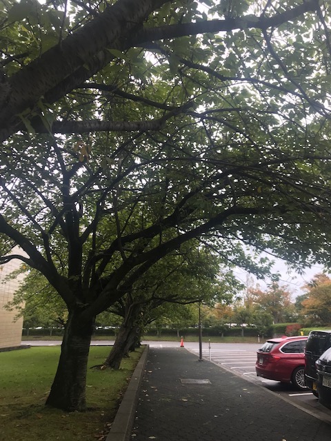 雨の自然科学館