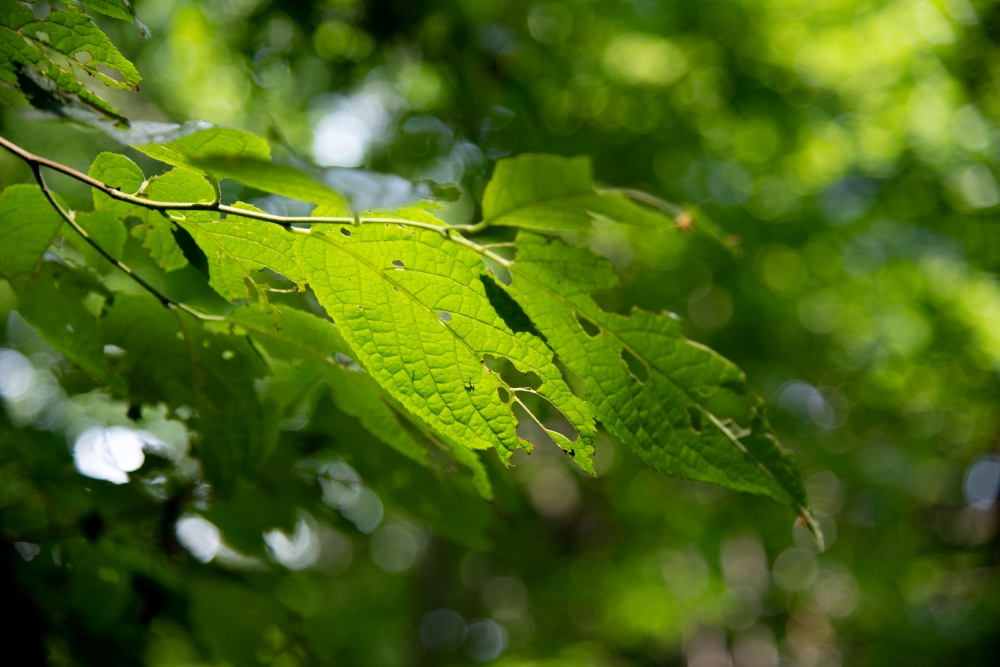 DSC_3314.jpg