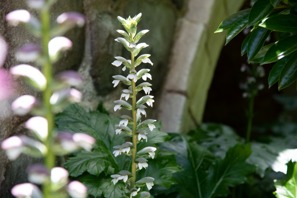 DSC_3197.jpg
