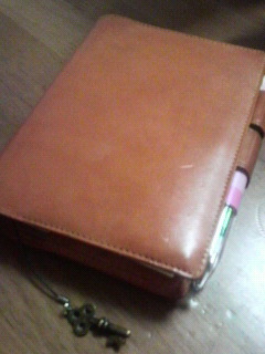 2010041016200000.jpg