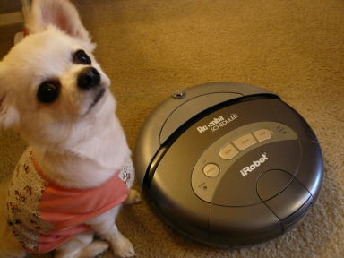 Roomba