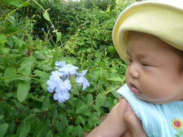 お花かいでみたり。