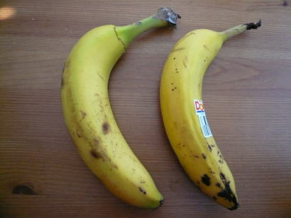 バナナ比較
