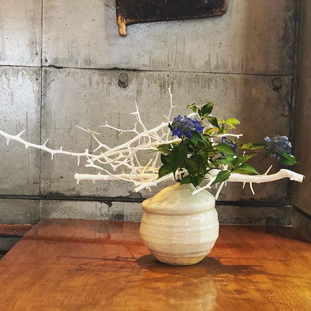 梅雨の季節に・・・ | TOKUSHIMA COFFEE WORKS