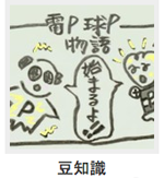 豆知識