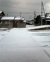 白くなりました。