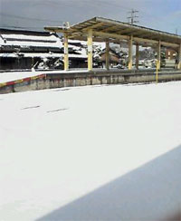 雪に怒り心頭。
