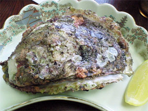 黄金岩がき・その1