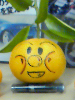 200812201801000.jpg