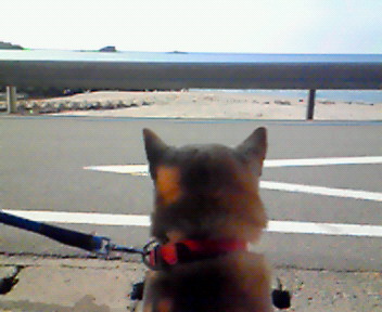 200906091659000.jpg