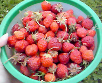 200906131207000.jpg