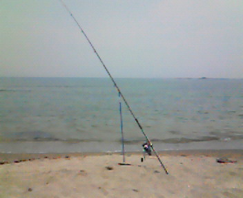 200906281104000.jpg