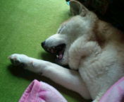 20100310144049.jpg